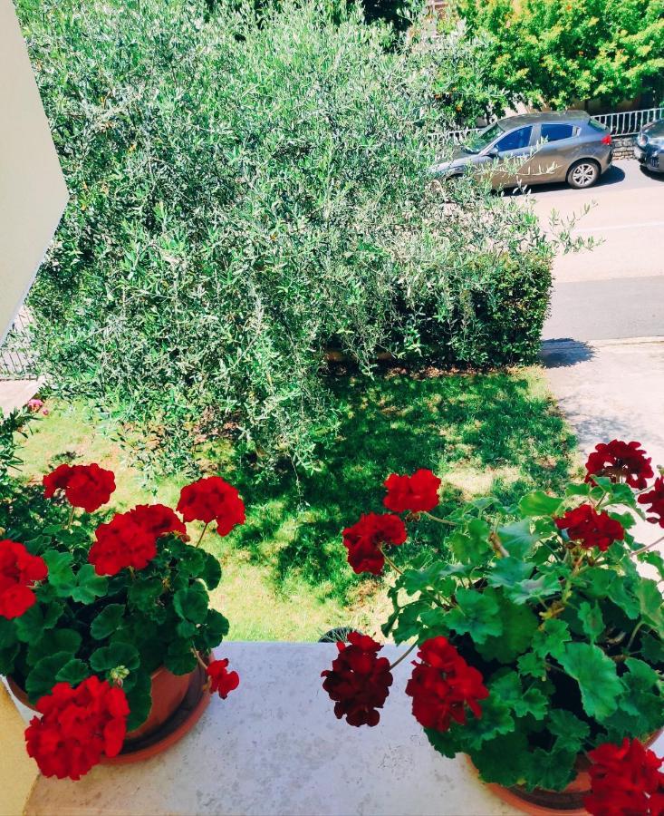 Apartment Novigrad Novigrad Istria 외부 사진