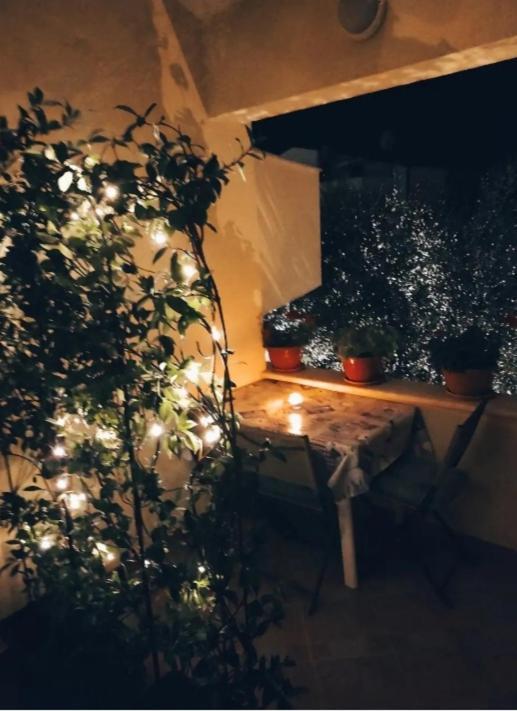 Apartment Novigrad Novigrad Istria 외부 사진