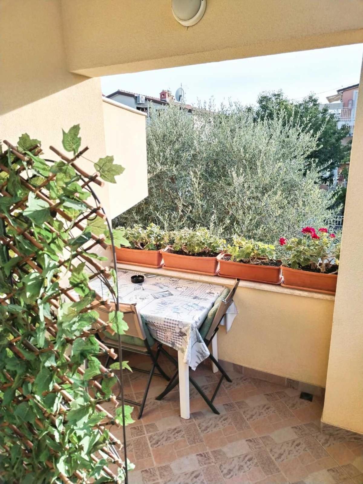 Apartment Novigrad Novigrad Istria 외부 사진