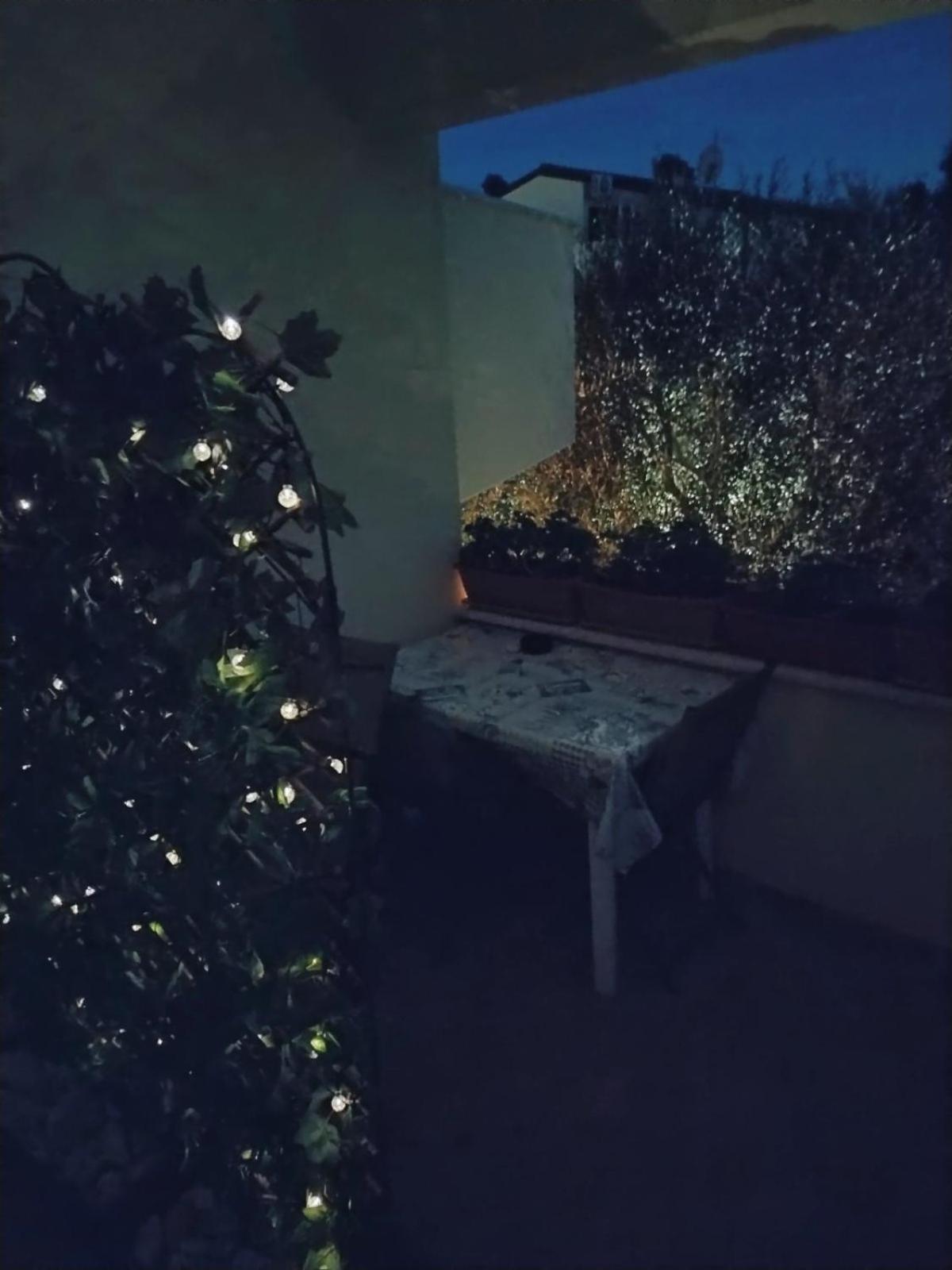 Apartment Novigrad Novigrad Istria 외부 사진